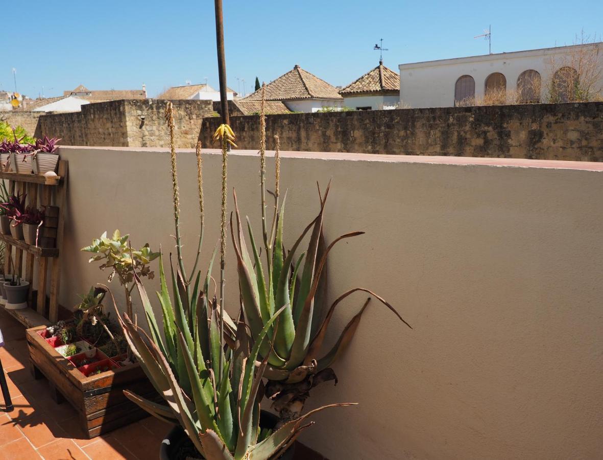 Apartamento En Juderia La Murallita 코르도바 외부 사진